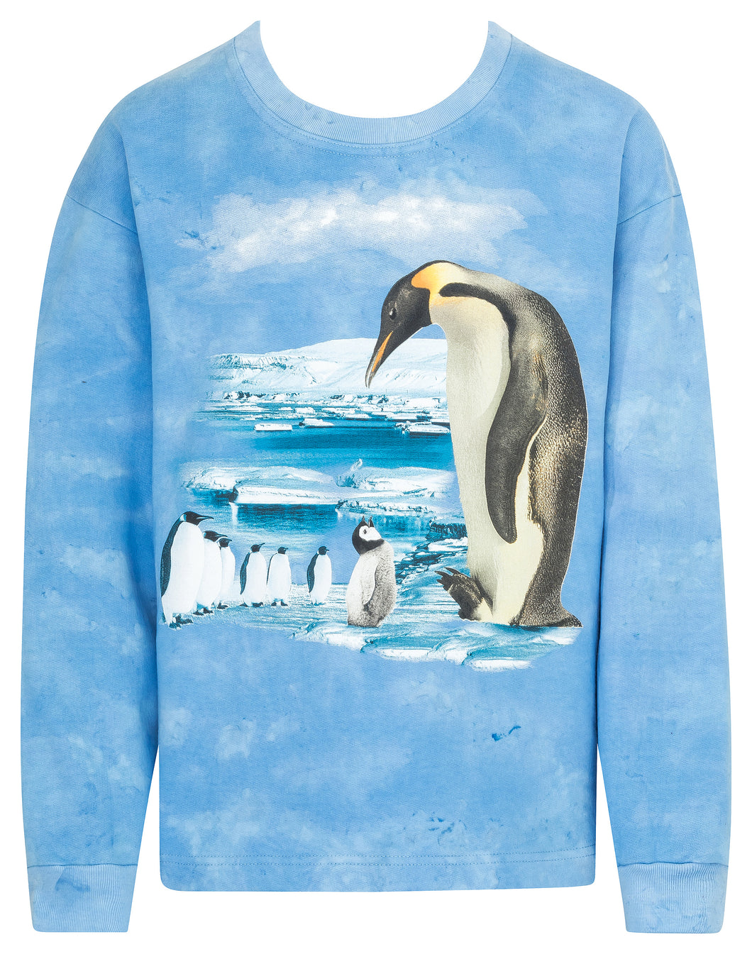 Bushfire Sweatshirt Kinder Pinguine, blau BSWK051