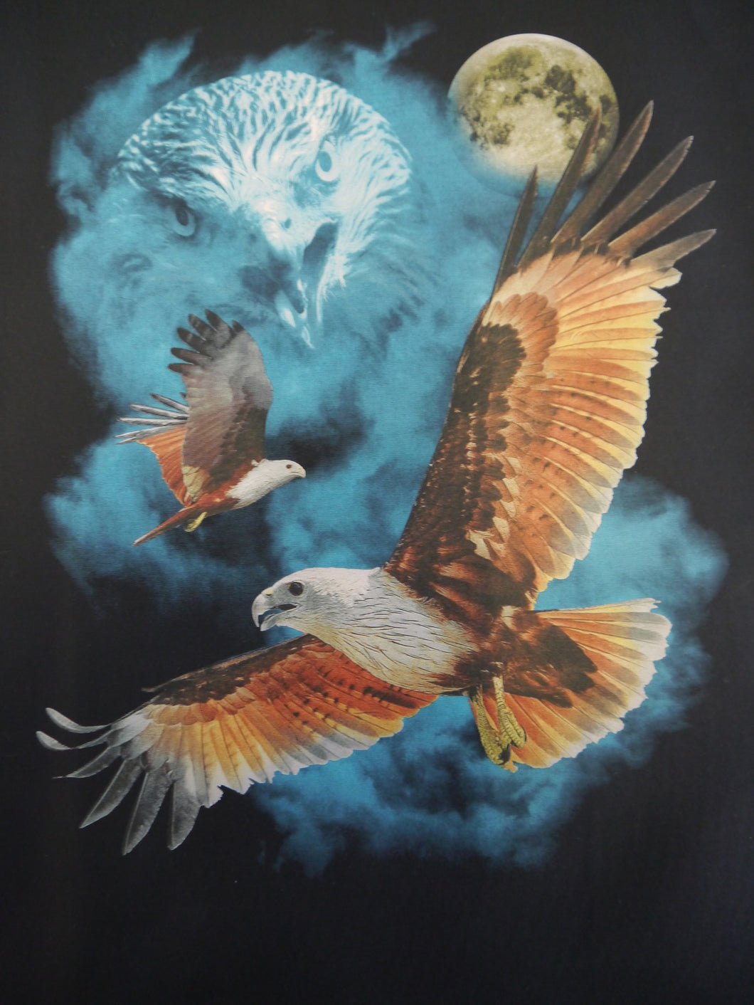 Bushfire Wallhanging, Panel, Poster Bild, Kite Eagle BSWA052