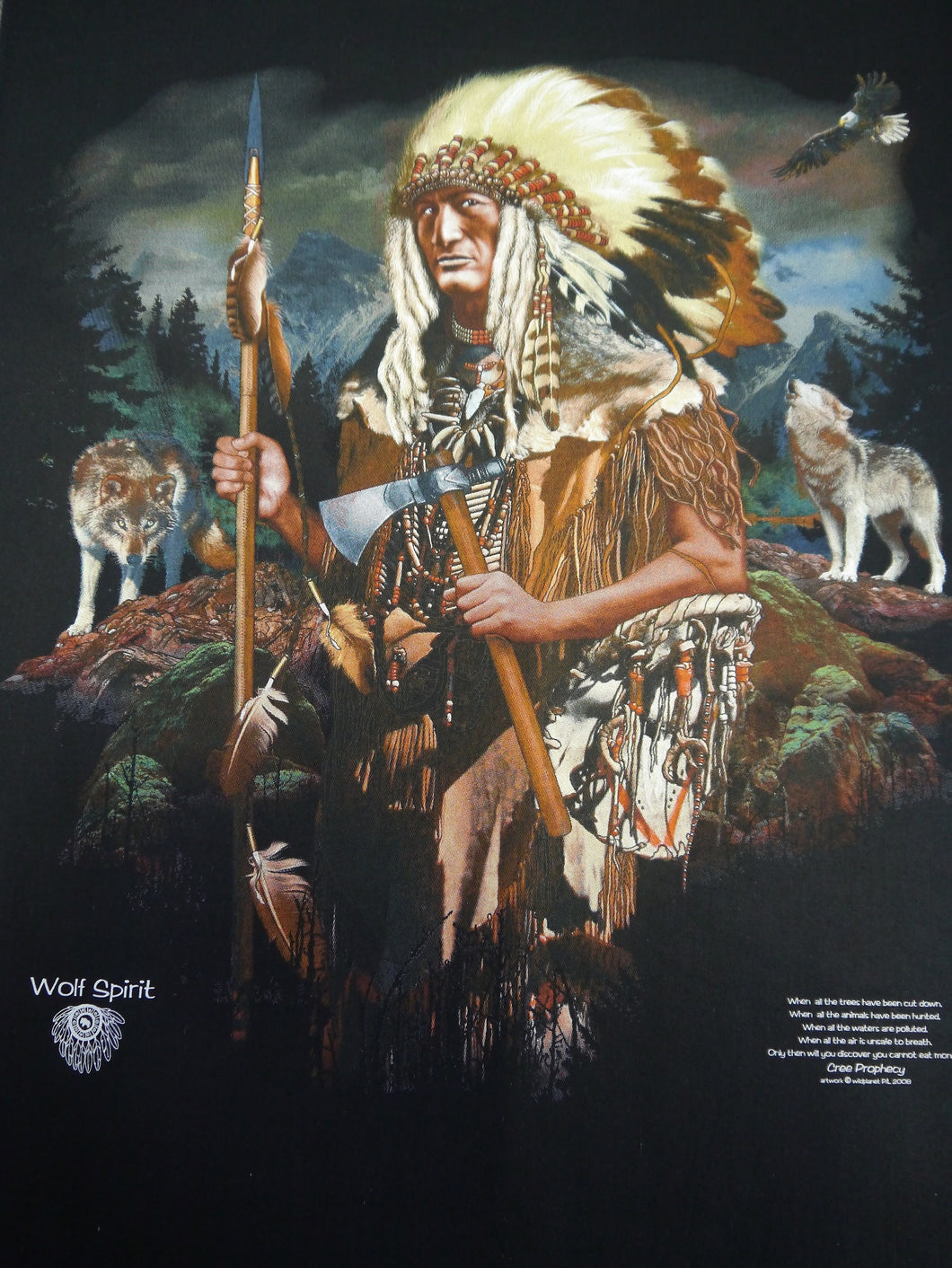 Bushfire Wallhanging, Panel, Poster Bild, Indianer Häuptling Wolf Spirit BSWA1503